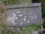 image of grave number 677229